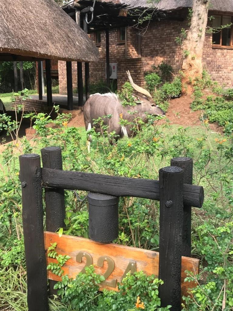Kruger Park Lodge, Kubu Lodge 224 헤이지뷰 외부 사진
